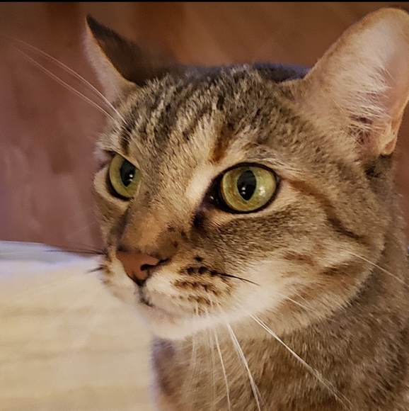 Welcome to my closet - Picture 3 of 5